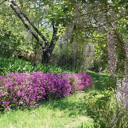 Casa Laranjeiras Dom wakacyjny Abragao