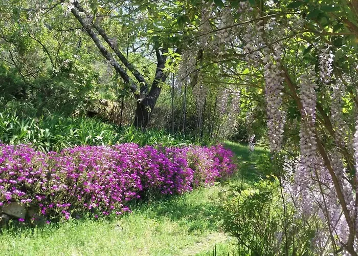 Casa Laranjeiras Prázdninový dům Abragao